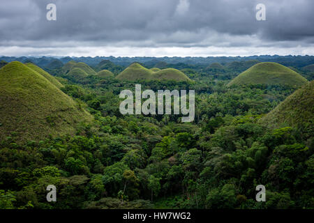 Beeindruckende und berühmte Schokolade Berge der Insel Bohol, Philippinen. Stockfoto