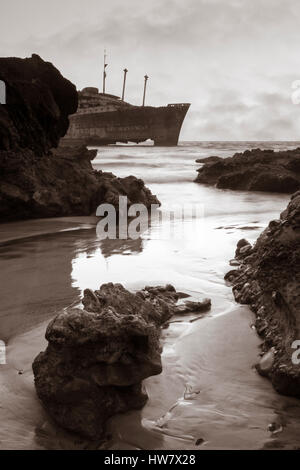 SS American Star Schiffbruch auf Fuerteventura, Kanarische Inseln, Spanien Stockfoto