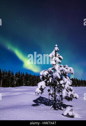 Verschneiten Nacht in Finnland Stockfoto