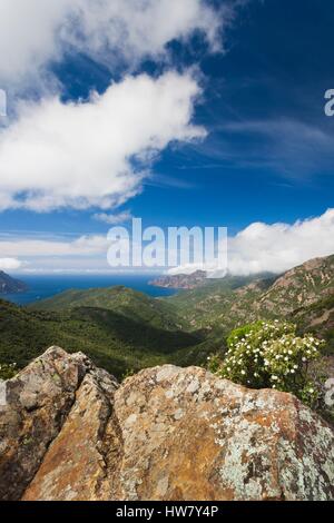 Frankreich, Corse-du-Sud, Korsika West Coast Region, Golfe de Girolata Golf, erhöht, Ansicht Stockfoto