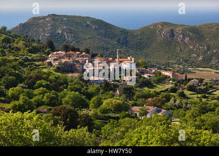 Frankreich, Haute Corse La Balagne Region, Lavatoggio, erhöhten Blick auf die Stadt Stockfoto