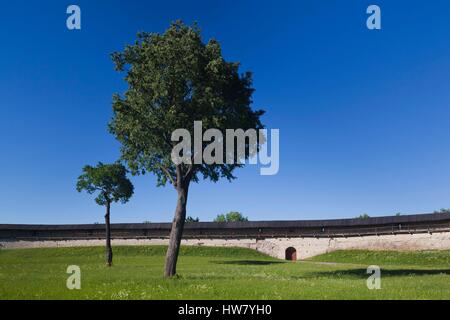 Oblast Pskow, Pskow, Pskower Kreml, Russland, Parkanlage Stockfoto