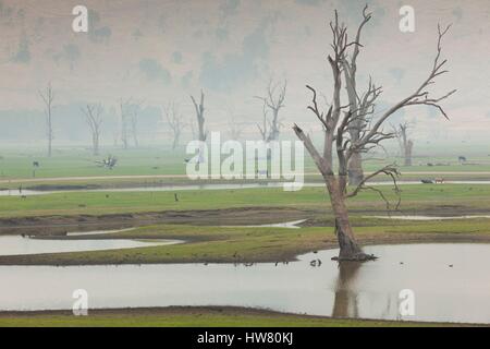 Australien, Victoria, Huon, Landschaft von Lake Hume mit Wald Feuer Rauch Stockfoto