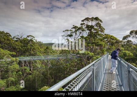 Australien, Western Australia, The Southwest, Walpole-Nornalup Tal der Riesen Tree Top Walk, Gehweg über Riesen Kribbeln Bäume Stockfoto