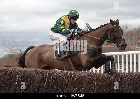 Zeigen Sie auf Punkt, Parham, Sussex, UK Samstag, 18. März 2017 Westsee gewinnt Harwoods eingeschränkt Rennen Credit: Michael Stevens/Alamy Live News Stockfoto