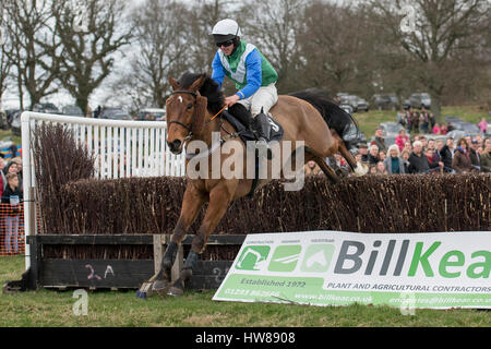 Punkt zu Punkt, Parham, Sussex, UK Samstag, 18. März 2017 nehmen die Mick gewinnt die Halfmoon bei der Warninglid Jagd Mitglieder Rennen Credit: Michael Stevens / Alamy Live News Stockfoto