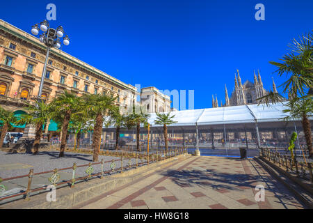 Neue Palm und Banane Bäume gepflanzt in Piazza Duomo Platz. Berühmten Mailänder Dom Dom in Italien. Stockfoto