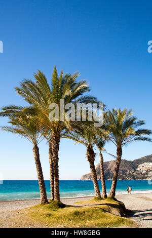 La Herradura Strand, Almuñecar. Provinz Granada, Andalusien Süd Spain.Europe Stockfoto