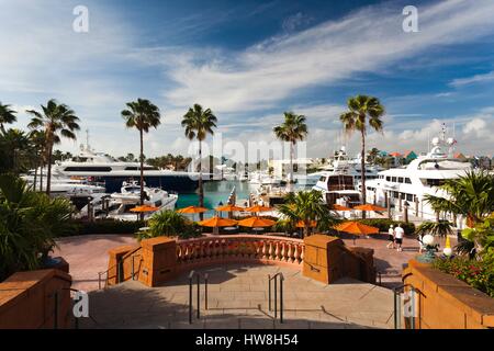 New Providence Island, Nassau, Paradise Island, Bahamas, Marina Village Stockfoto