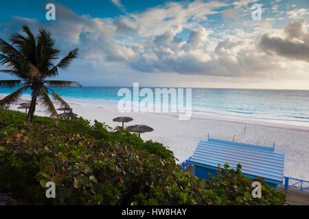 Bahamas, Eleuthera Insel, Harbour Island, Pink Sand Beach, morgen Stockfoto