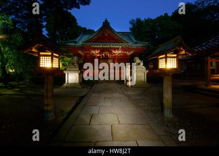 Japan, Ishikawa, Kanazawa, Kenroku-en Gärten in Kanazawa in der japanischen Präfektur Ishikawa wurde durch die Maeda Familie so früh wie 1620 alle durch die bis 1820 geplante, Baum Stockfoto