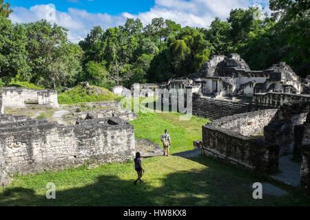 Guatemala, Petén Abteilung, Tikal Nationalpark, ein UNESCO-World Heritage Site Tempel Acropole centrale Stockfoto