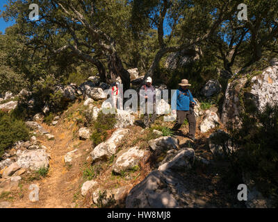 Wandern. Naturpark Straße von Gibraltar. Parque Natural de Los Alcornocales, Provinz Tarifa Cadiz, Andalusien Süd Spain.Europe Stockfoto