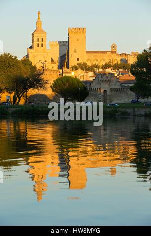 Frankreich, Vaucluse, Avignon, Rhone, der Kathedrale des Doms (12. Jahrhundert) und der Palast der Päpste, als Weltkulturerbe von der UNESCO gelistet auf der Insel Barthelasse Stockfoto