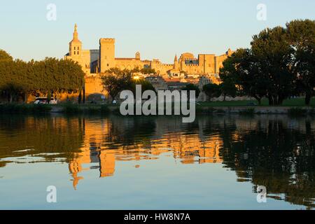 Frankreich, Vaucluse, Avignon, Rhone, der Kathedrale des Doms (12. Jahrhundert) und der Palast der Päpste, als Weltkulturerbe von der UNESCO gelistet auf der Insel Barthelasse Stockfoto