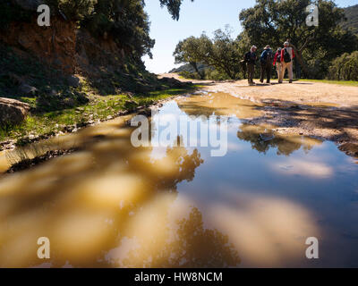 Wandern. Naturpark Straße von Gibraltar. Parque Natural de Los Alcornocales, Provinz Tarifa Cadiz, Andalusien Süd Spain.Europe Stockfoto