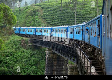 Sri Lanka, Central Province, Nuwara Eliya-Distrikt, dem Zug von Nuwara Eliya und Ella Stockfoto