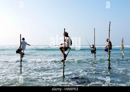 Sri Lanka, Südprovinz, Matara Bezirk, Ahangama, traditionelle Fischerei auf Stelzen (Stelzenfischer) Stockfoto