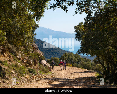 Wandern. Naturpark Straße von Gibraltar. Parque Natural de Los Alcornocales, Provinz Tarifa Cadiz, Andalusien Süd Spain.Europe Stockfoto