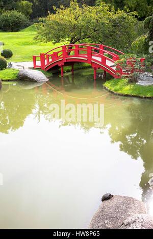 Frankreich, Haute Garonne, Toulouse, Compans Cafarelli, japanische Garten Brücke über den Teich, Schildkröte Stockfoto