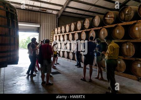 Haiti, Port au Prince, Barbancourt rum-Brennerei, Keller Stockfoto