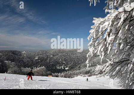 Frankreich, Haute Saone, La Planche des Belles Filles, Skigebiet, mit Blick auf Saint-Antoine Wald und Ballon de Servance Stockfoto