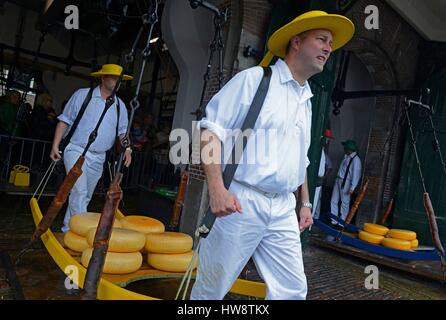 Holland, West Friesland, Niederlande, Alkmaar, der Wochenmarkt Käse Käse Träger spoof Edam Kugeln auf Bahren Stockfoto