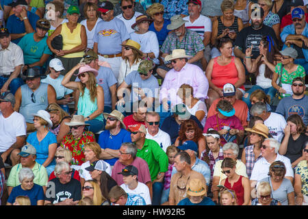 Menschenmenge in Tribüne am Zuschauer Sportveranstaltung Stockfoto