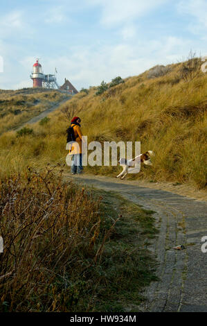 Winter auf der Insel Vlieland, die Niederlande Stockfoto
