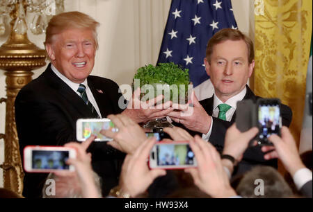 Irische Taoiseach Enda Kenny präsentiert US Präsident Donald Trump mit einer Schüssel Shamrock während der jährlichen Preisverleihung im Weißen Haus in Washington, USA. Stockfoto