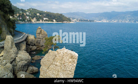 CADREGA des Rock, maritimen Pinie, Luftaufnahme, Uferpromenade zwischen Santa Margherita Ligure und Portofino, Paraggi, Ligurien, Italien Stockfoto