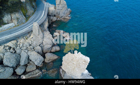 CADREGA des Rock, maritimen Pinie, Luftaufnahme, Uferpromenade zwischen Santa Margherita Ligure und Portofino, Paraggi, Ligurien, Italien Stockfoto