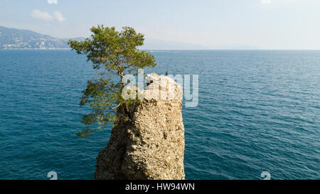 CADREGA des Rock, maritimen Pinie, Luftaufnahme, Uferpromenade zwischen Santa Margherita Ligure und Portofino, Paraggi, Ligurien, Italien Stockfoto