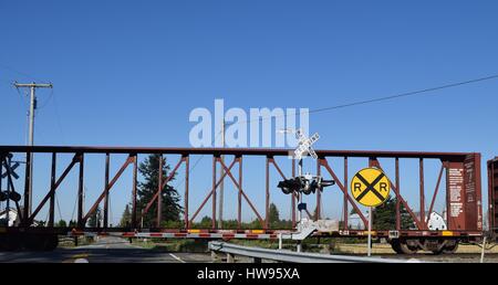 Kreuzung zu trainieren / ein Zug mit einer leeren Box Auto durchläuft der Bahnübergang der Straße. Stockfoto