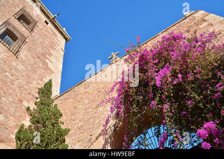 Bunte Details mit schönen rosa Blumen und antikes Tor in El Puig, Spanien Stockfoto