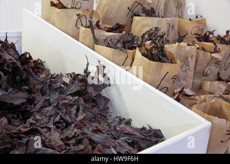 Rotalgen zum Verkauf am Stadtmarkt in Saint John, New Brunswick, Kanada Stockfoto