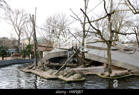 Gehäuse des japanischen Makaken im Artis Zoo Amsterdam, die Niederlande im winter Stockfoto