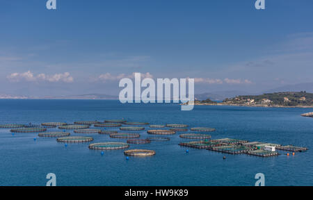 Angeln Bauernhof im Ionischen Meer vor der Küste von Nord Korfu Griechenlands Stockfoto