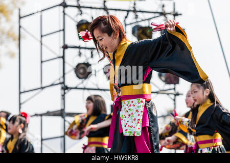 Yosakoi Dance Festival. Kind, Mädchen, Lächeln tanzen in Schwarz und Gelb yukata Jacke, Holding naruko, beim Tanzen mit Anderen. Low Angle View. Stockfoto