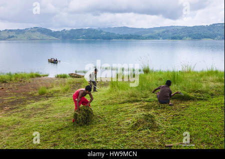 Umiam See mit Männern mäht Rasen entlang Bank und Holzboot mit Passagieren auf dem Wasser in der Nähe von Shillong, Meghalaya, Indien. Stockfoto