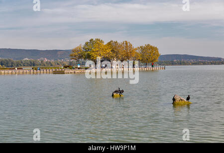 Anlegestelle für Fahrgastschiffe touristische und Wildenten schwarz auf Steinen auf den Balaton, Keszthely, Ungarn. Stockfoto