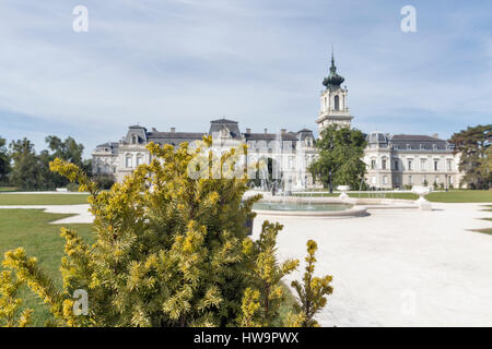 Tanne vor Schloss Festetics in Keszthely, Ungarn. Fokus auf Vordergrund. Es ist ein großer Komplex von Gebäuden der Familie Festetics. Stockfoto