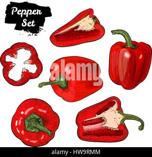 Handgezeichnete Skizze Paprika Stilgruppe isoliert auf weißem Hintergrund. Reif und in Scheiben geschnittene rote Paprika. Stock Vektor