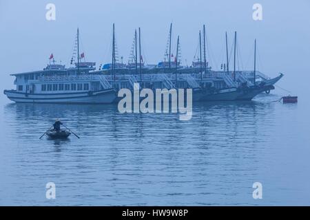 Vietnam, Halong Stadt, Bai Chay Port, Halong Bay Ausflugsboote, morgen Stockfoto