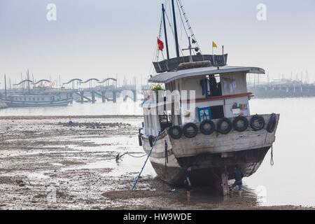 Vietnam, Halong Stadt, Bai Chay Port, Halong Bay Ausflugsboote, morgen Stockfoto