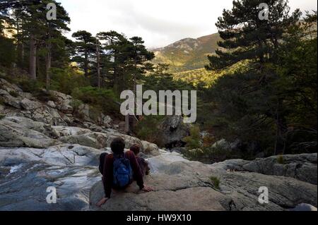 Frankreich, Haute Corse, Vivario, Wandern auf dem GR 20, zwischen Onda Zuflucht und Vizzavona, Vizzavona Wald, Engländer Kaskaden, Wasserfälle-Gruppe im Agnone Tal Stockfoto