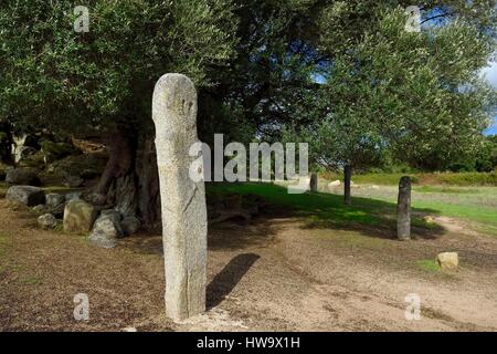 Frankreich, Corse du Sud, prähistorische Fundstätte von Filitosa, Menhir Statue von bewaffneten Zeichen Stockfoto