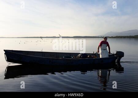 Frankreich, Haute Corse, Fischer in einem Boot auf dem Teich von Biguglia (Stagnu di Chiurlinu), Naturpark von Korsika (RNC) Stockfoto