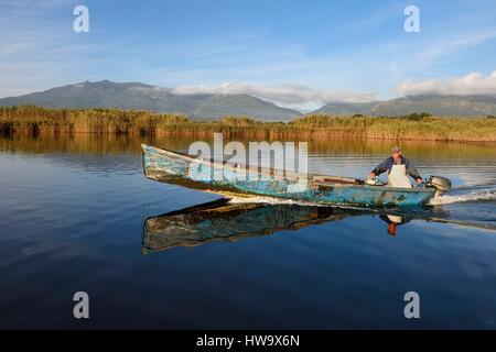 Frankreich, Haute Corse, Fischer in einem Boot auf dem Teich von Biguglia (Stagnu di Chiurlinu), Naturpark von Korsika (RNC) Stockfoto