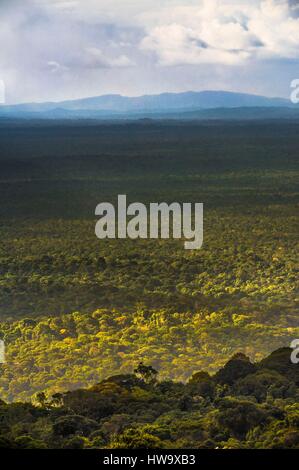 Frankreich, Guyana, Französisch-Guyana Amazonas Park, Herz-Bereich, Mount Itoupe, Regenzeit, Amazon Sichtweite von der Spitze des Mount Itoupe (830 m) Stockfoto